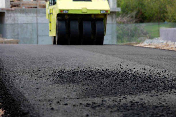 Best Residential Paver Driveway  in Allendale, MI