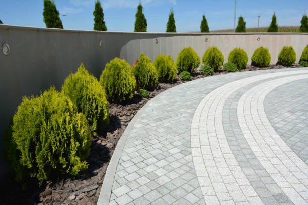 Best Decorative Driveway Pavers  in Allendale, MI